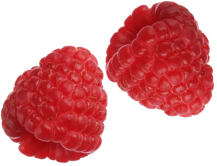 Zwei Himbeeren